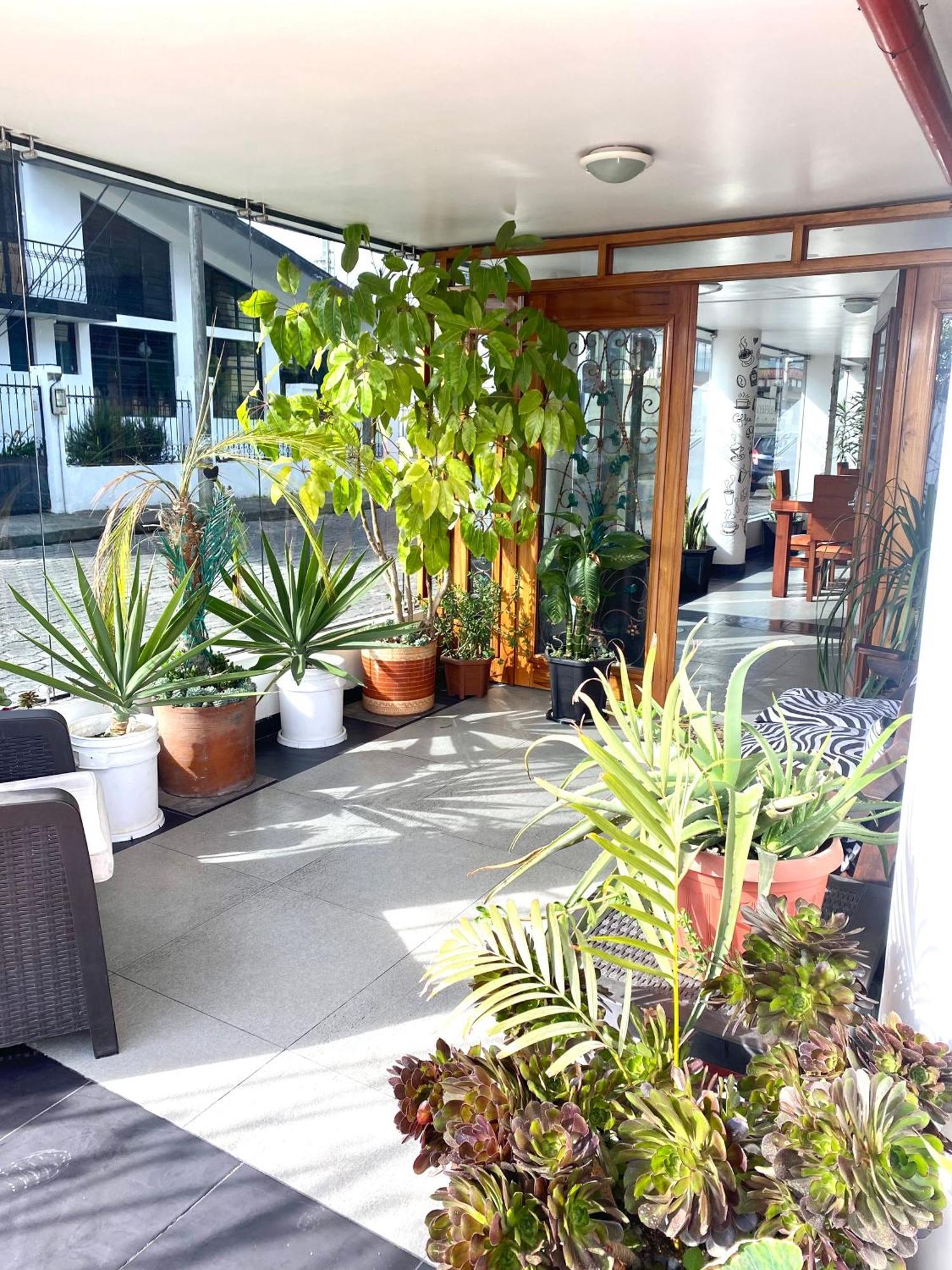 Loreto Hotel ラタクンガ エクステリア 写真
